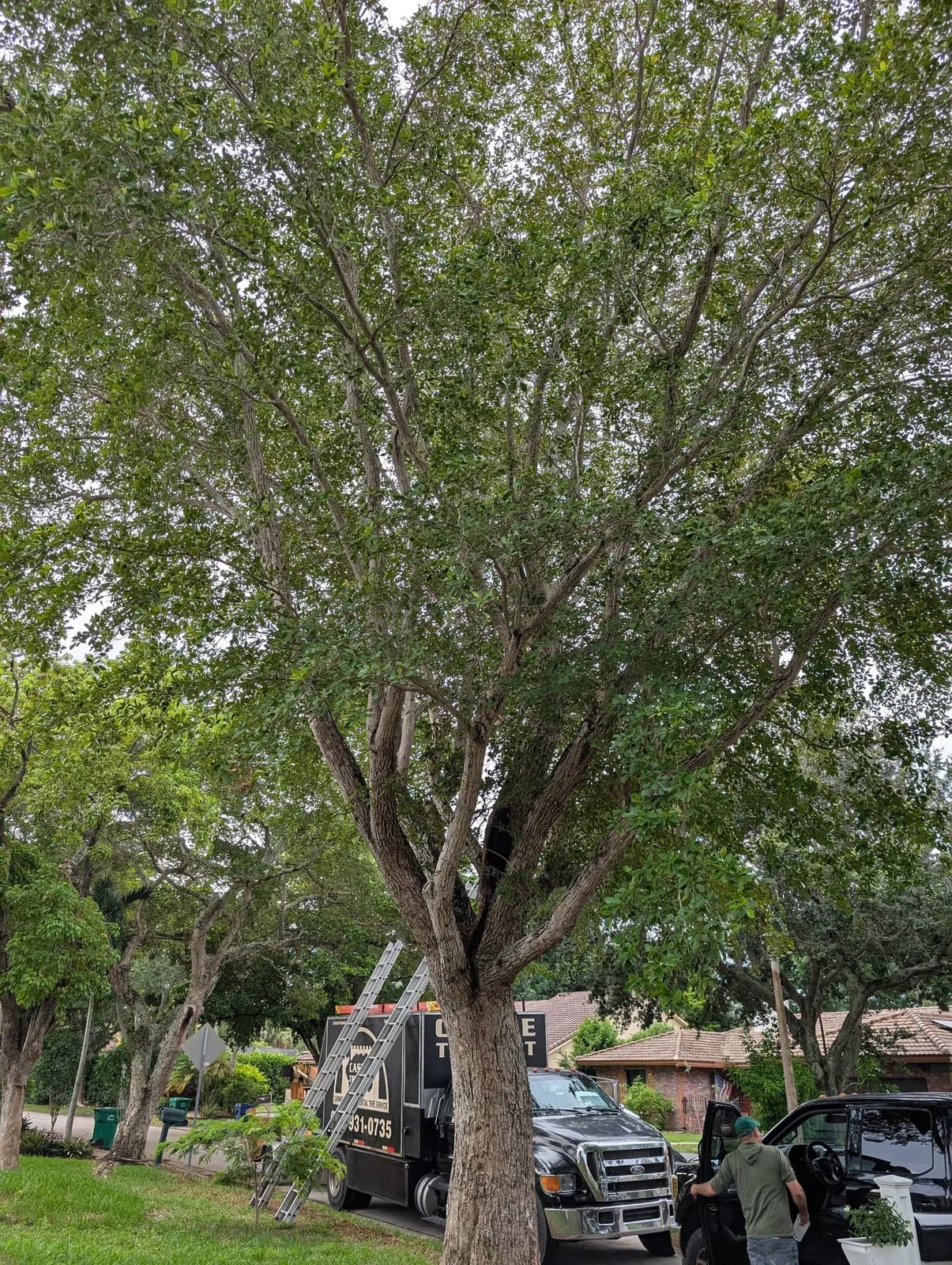 Business photo from Google Maps