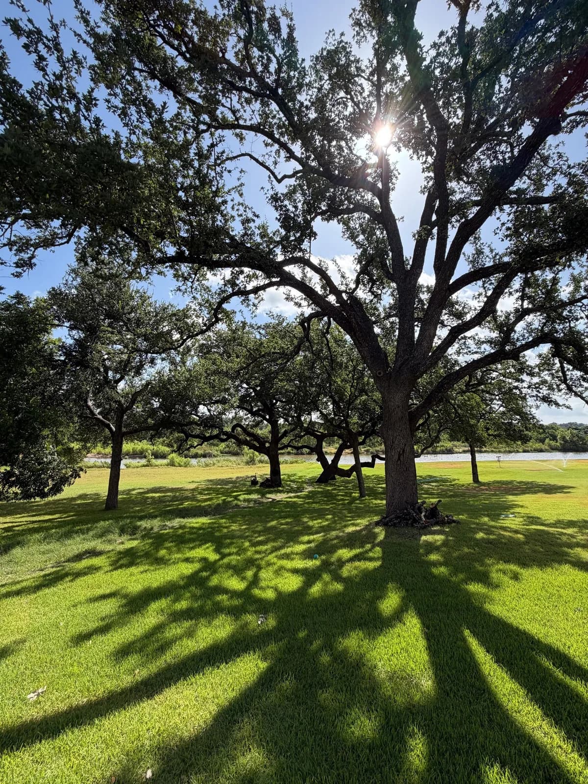 Highland Lakes Tree Service LLC