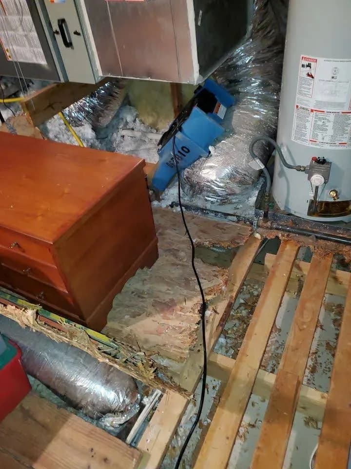 Dry Force - Austin Water Damage Restoration