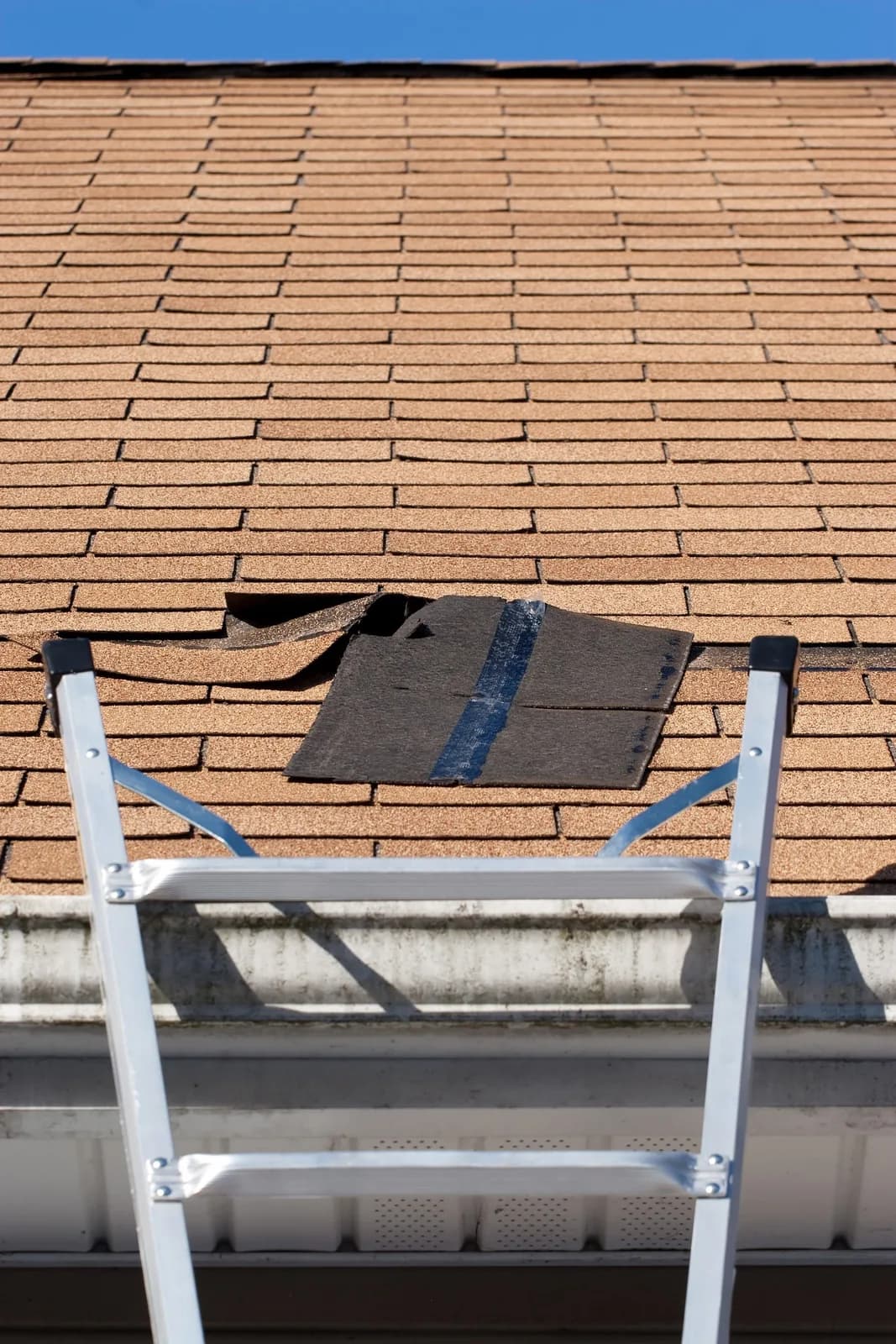 Business photo from Google Maps