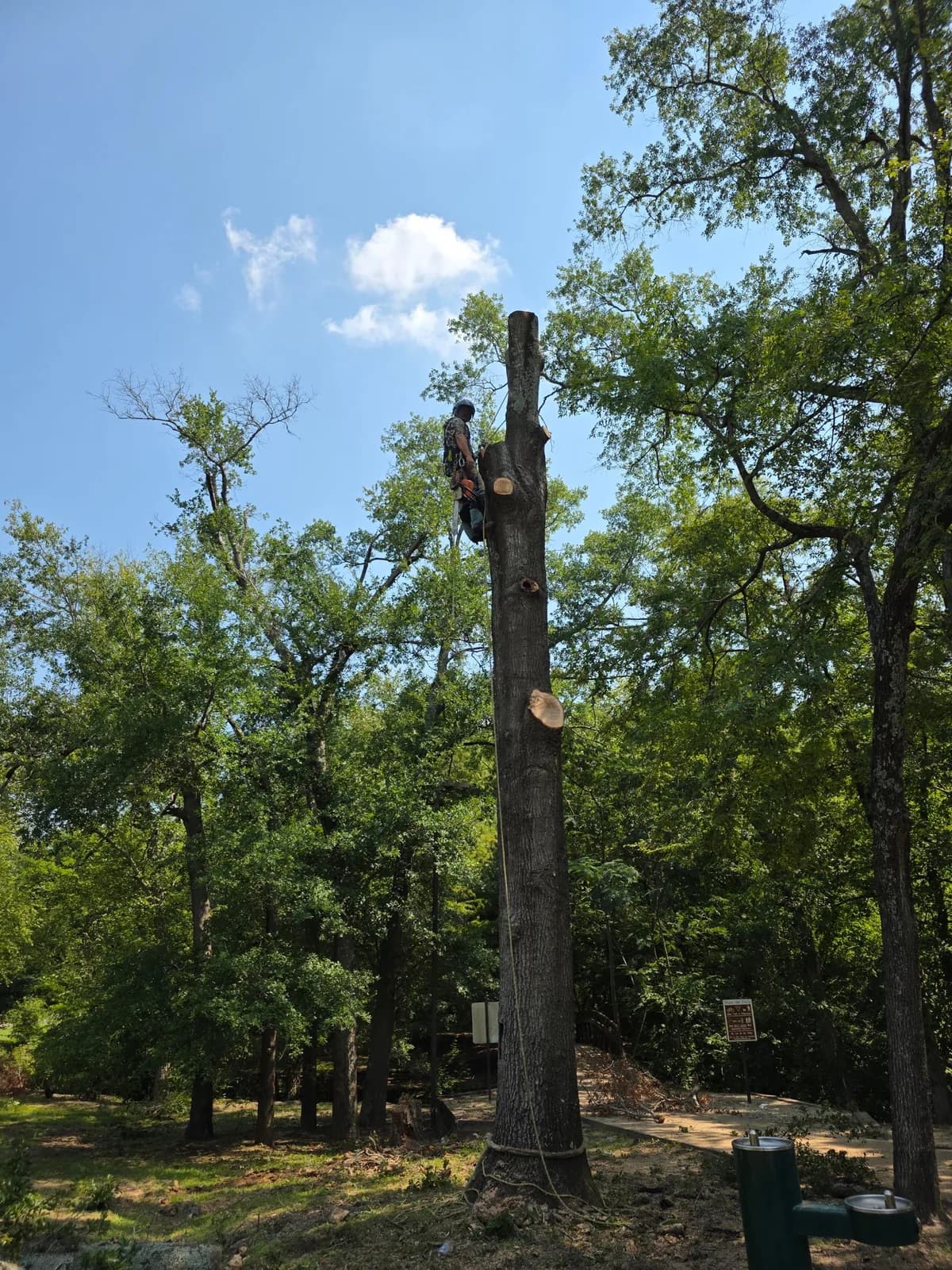 Merritt's Tree Service