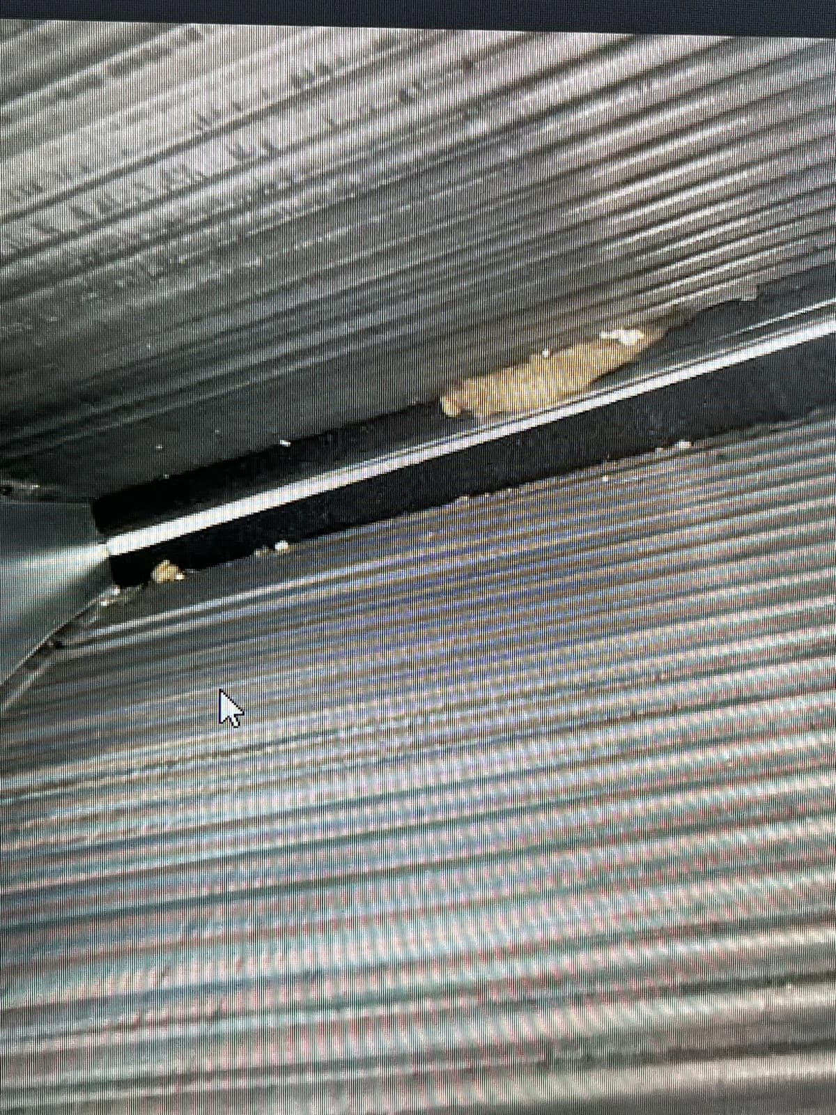 Business photo from Google Maps