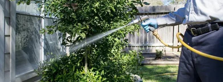 Reliant Pest Management