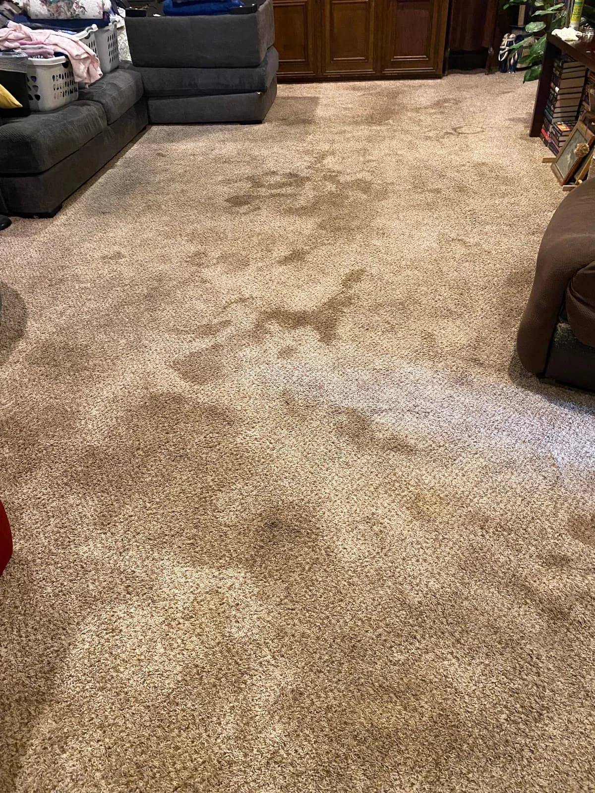 South Texas Steam Cleaning