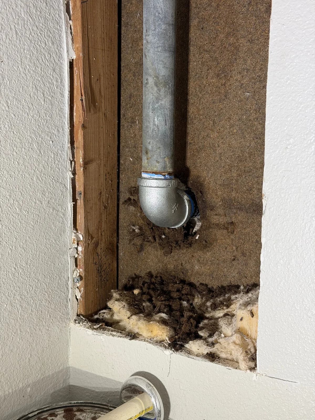 Texas Plumbing & Backflow LLC