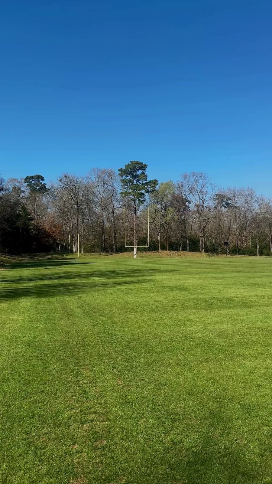 Evergreen Lawn Care