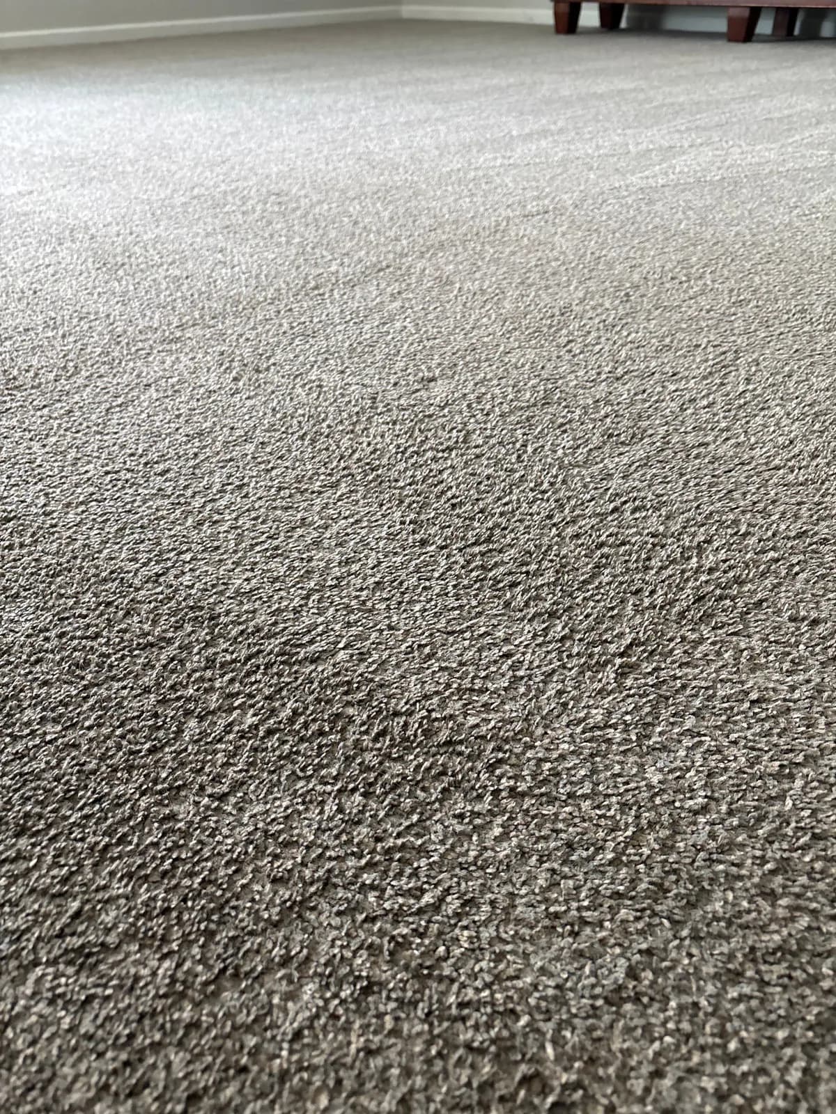Koala T Carpet Cleaning