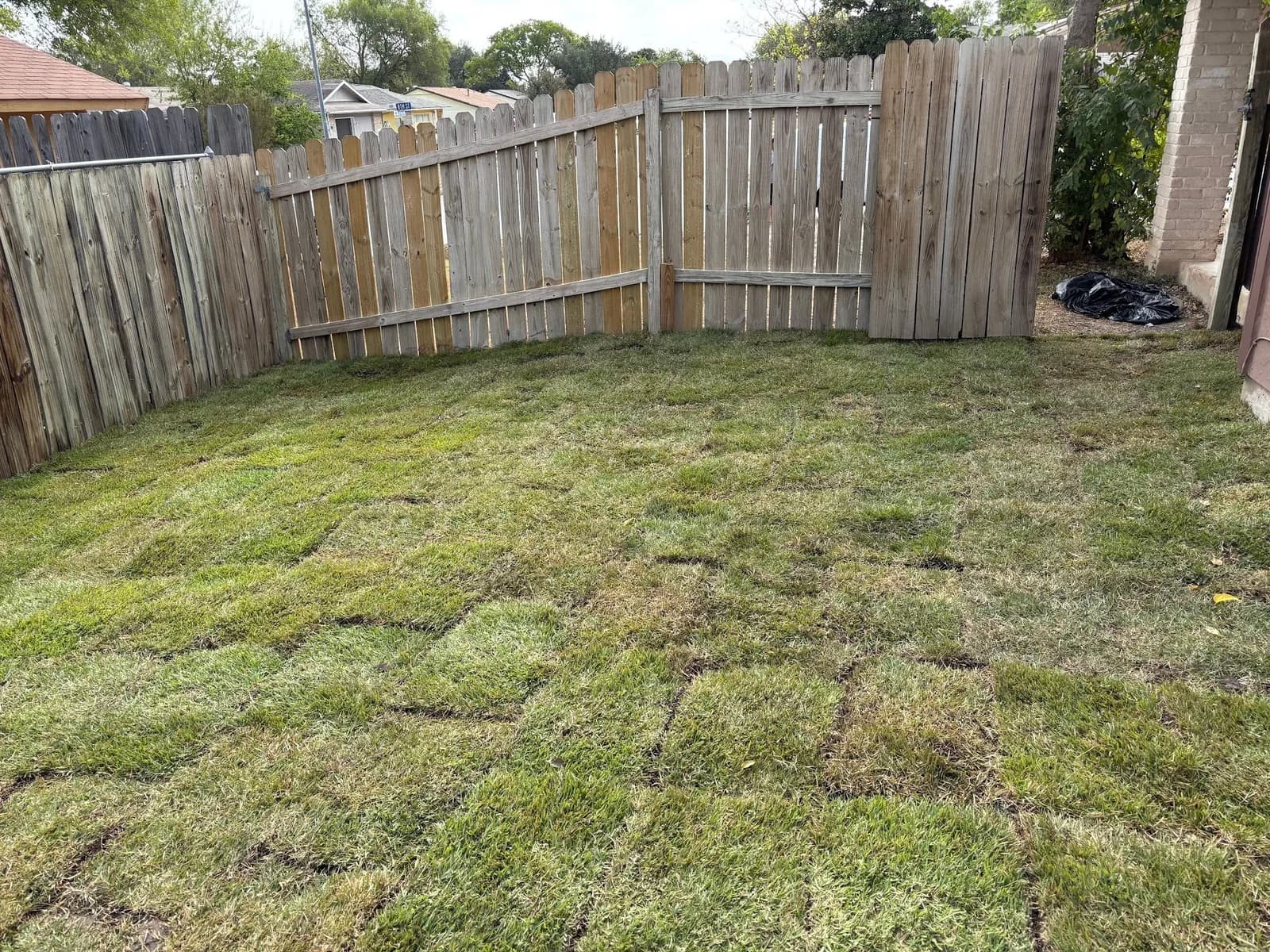 Randolph's Lawn and Landscape Management