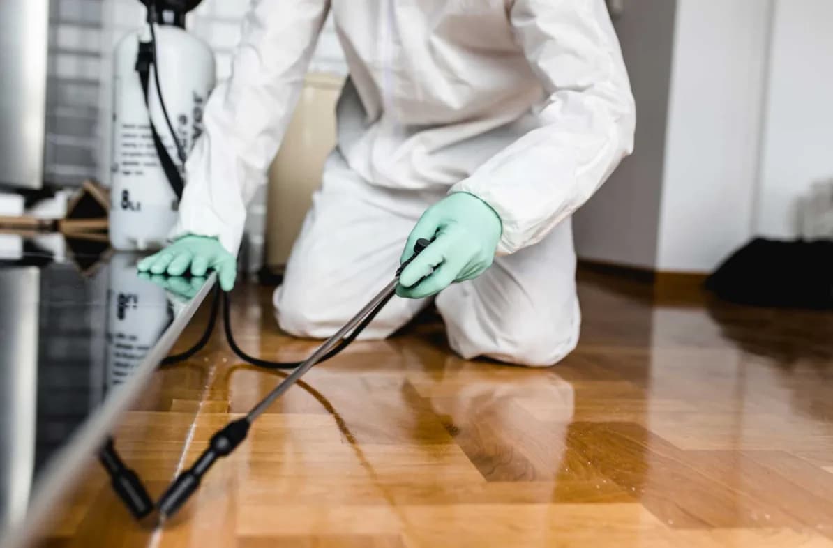 Bug State Pest Control