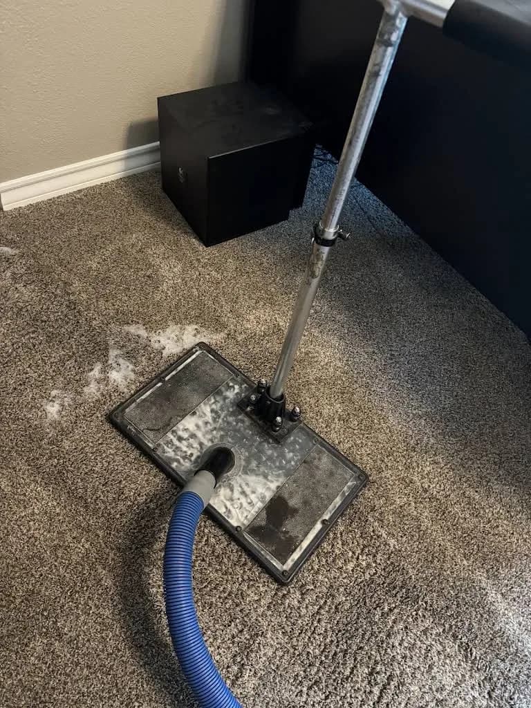 Stay Fresh Steam Cleaning