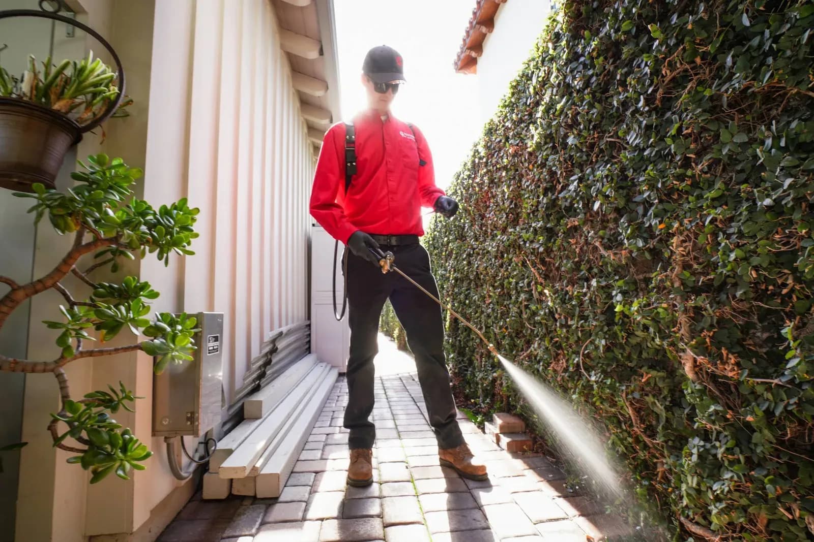 Mission Pest Control