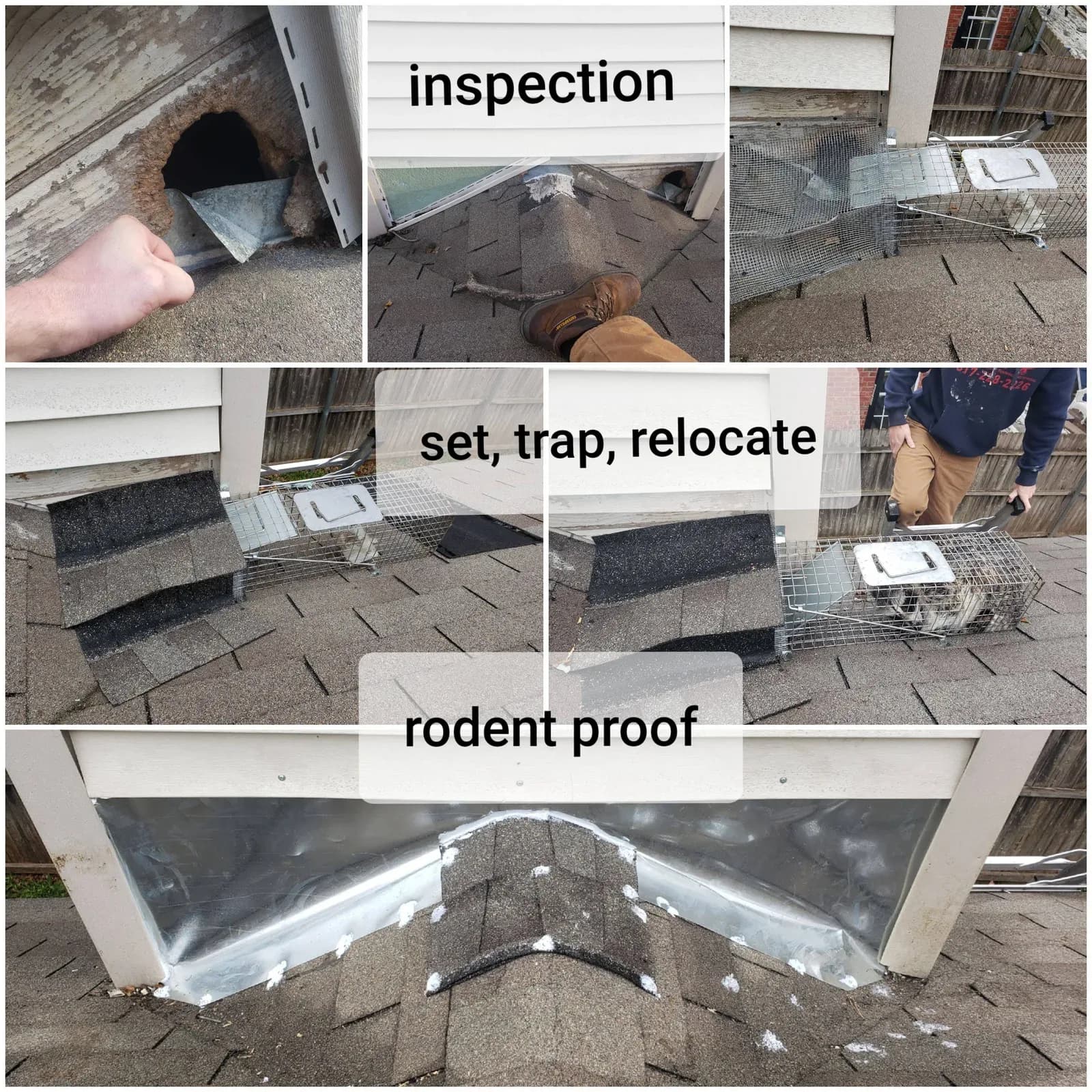 Rodent Retreat