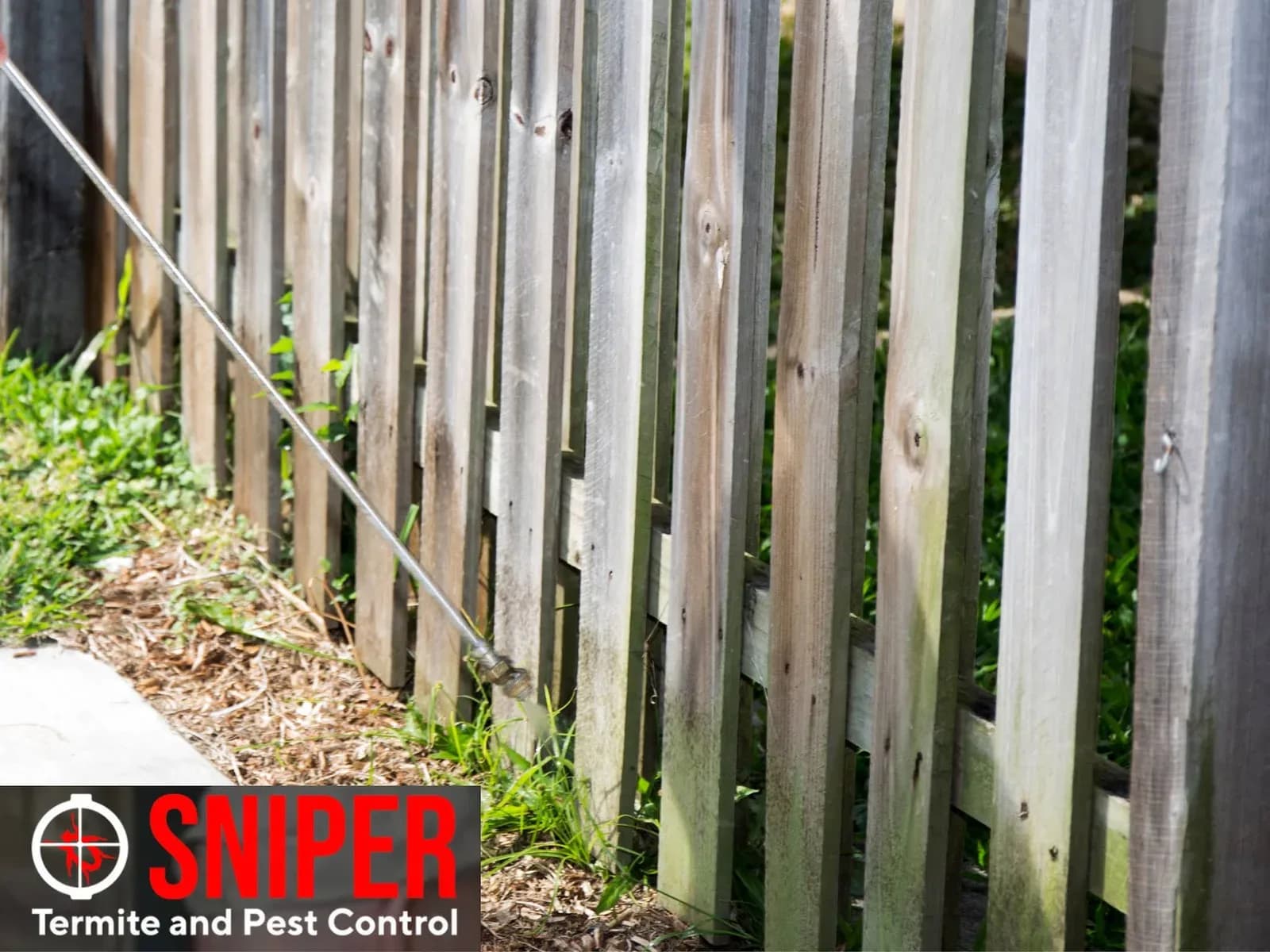 Sniper Termite and Pest Control Fort Worth