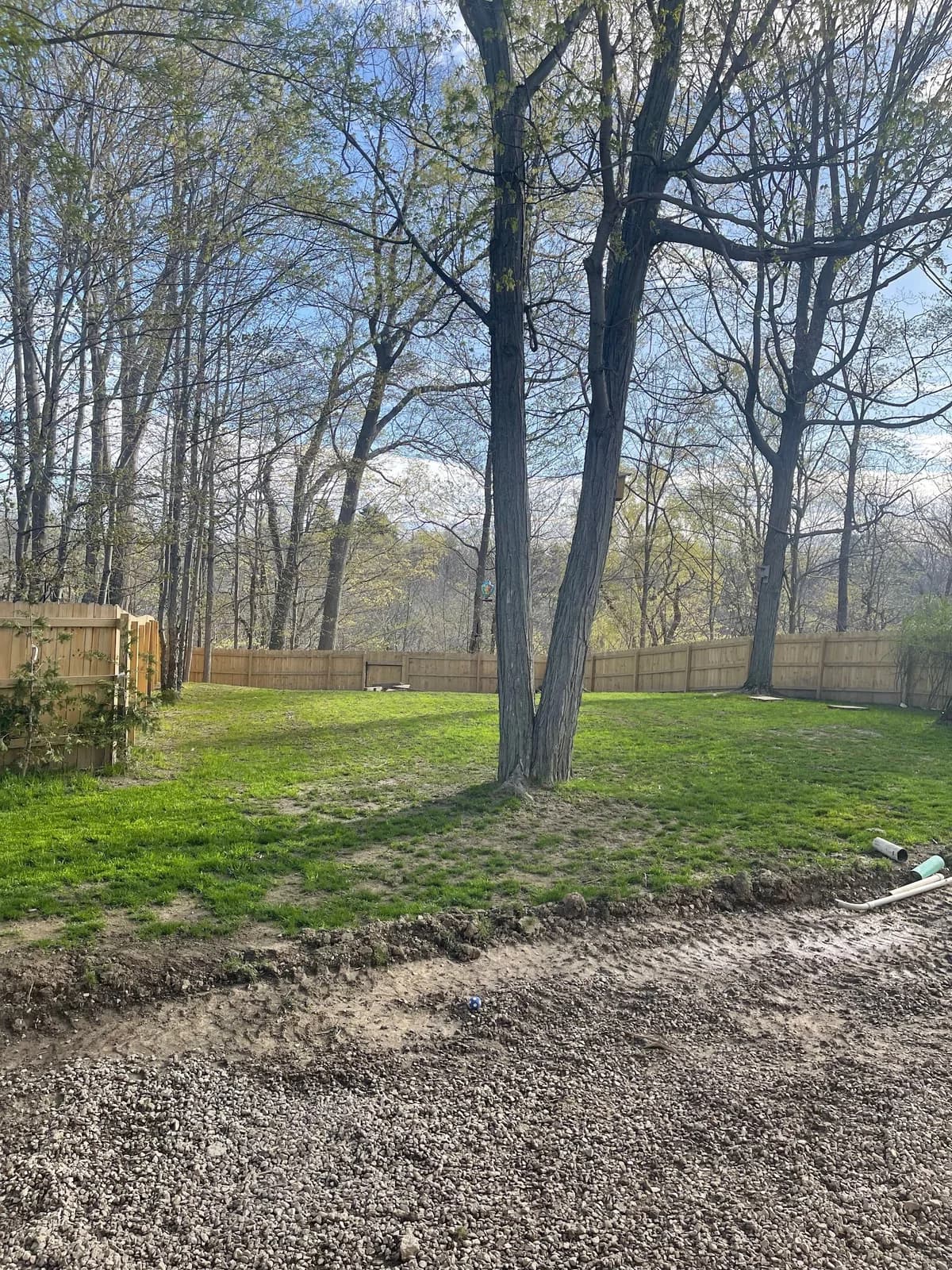 Buffalo Tree Service