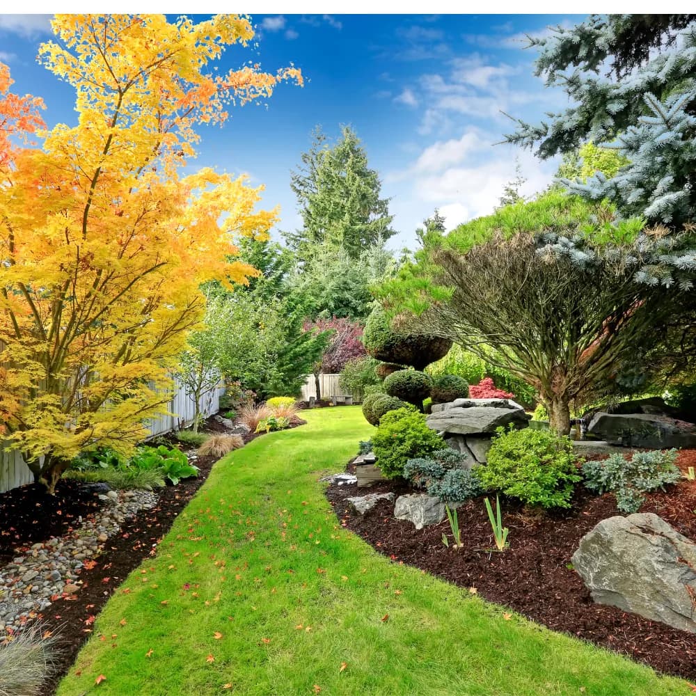 Cedar Park Landscaping, Tree & Lawn