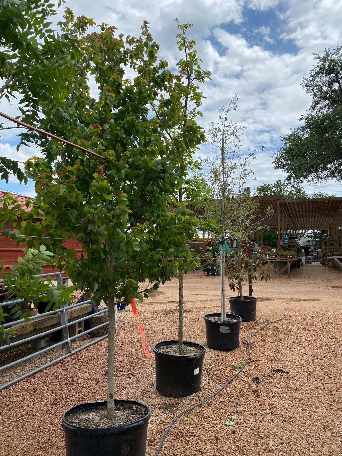 Sam's Nursery & Landscaping