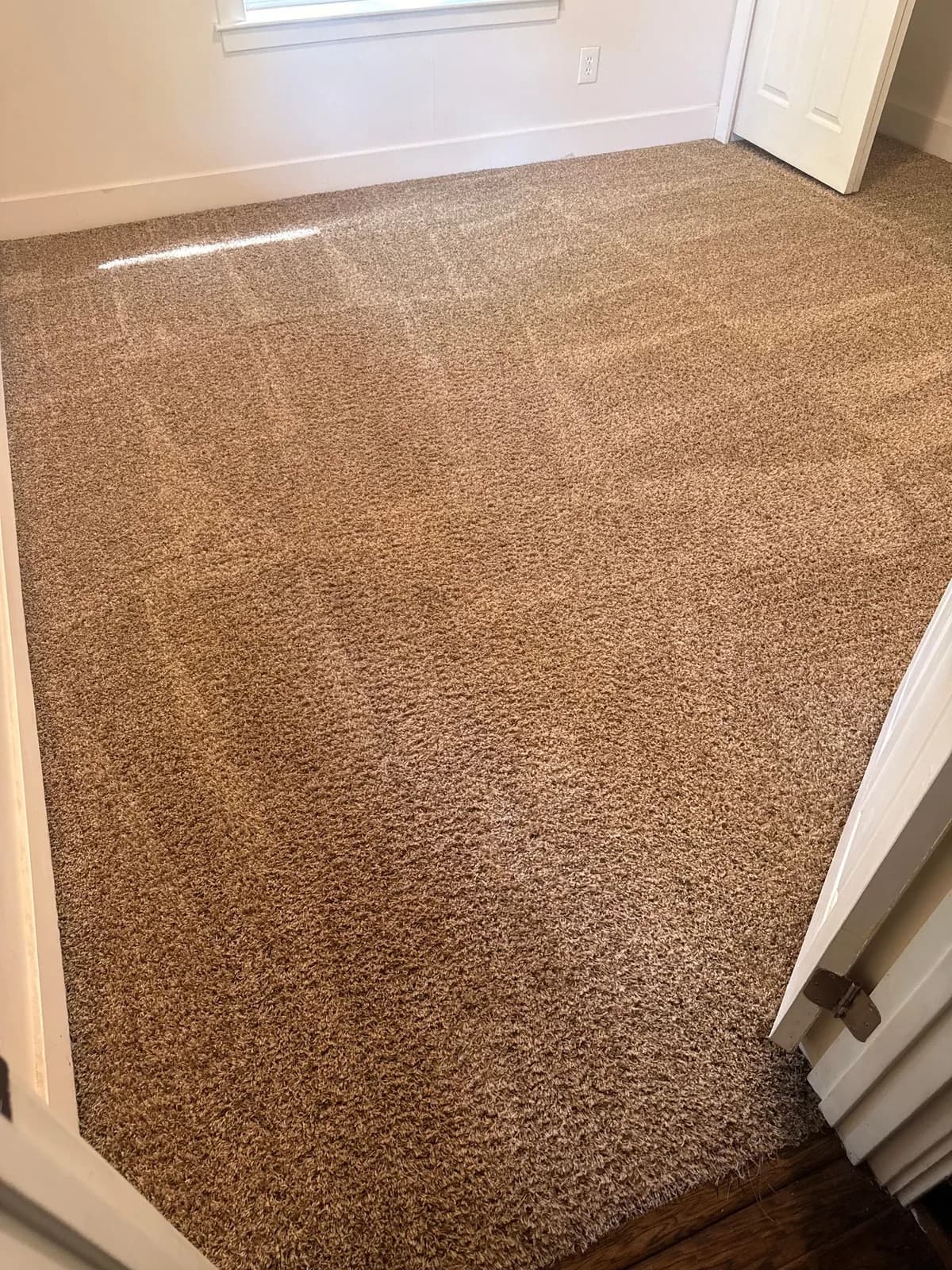 Gold Star Carpet Cleaning & Upholstery