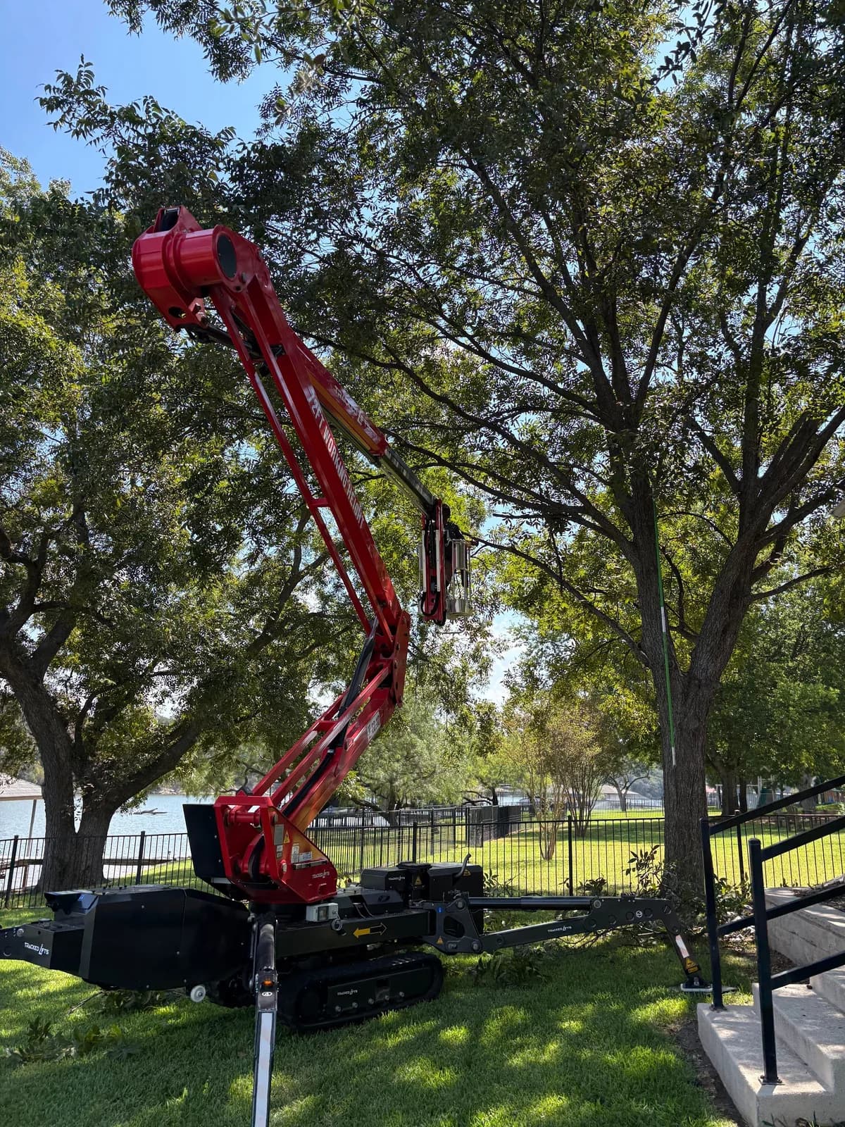 Deadwood Tree Services